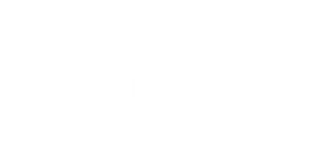 The Bridging Group